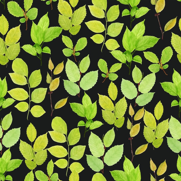 Folhas verdes exuberantes em fundo preto