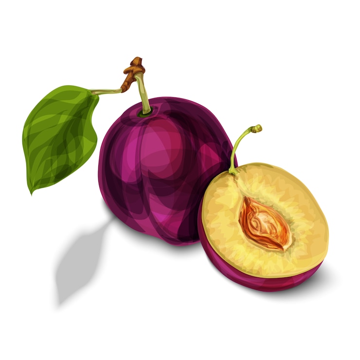 Vetor grátis fruta ameixa orgânica natural azul