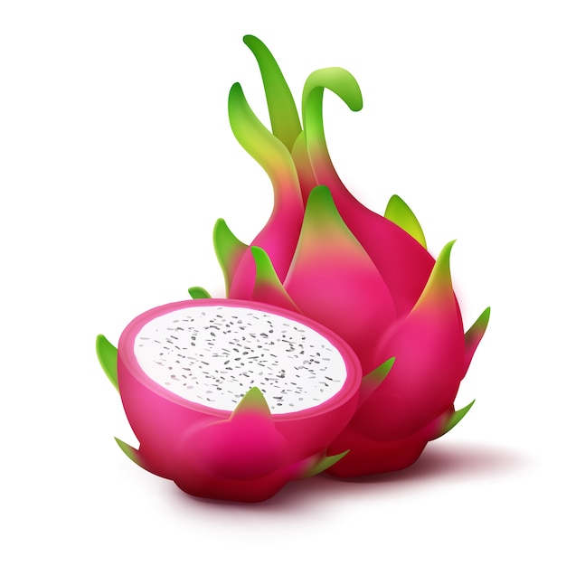 Fruta do dragão rosa vívida inteira e fatiada de vetor isolada no fundo branco