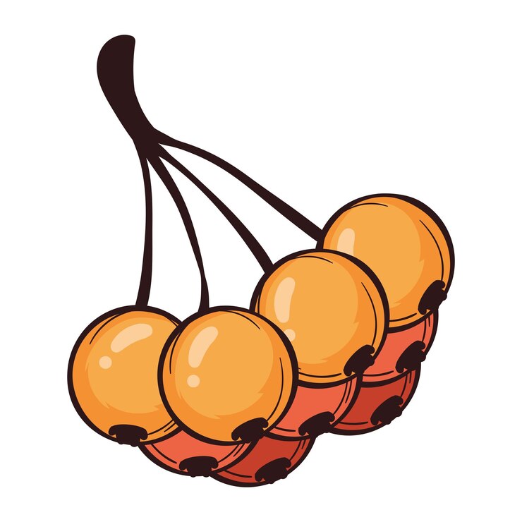 Vetor grátis frutas da natureza de outono ilustração isolada