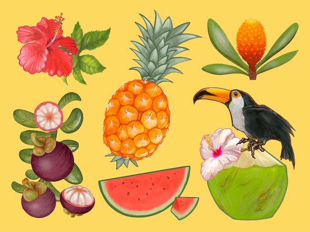 Frutas tropicais, e, flor, ilustração