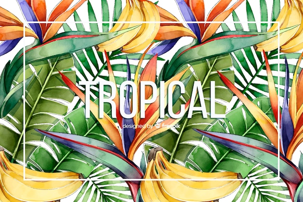 Fundo aquarela tropical