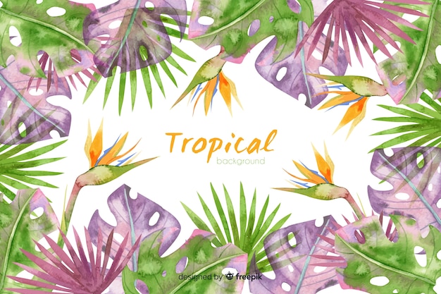 Fundo aquarela tropical