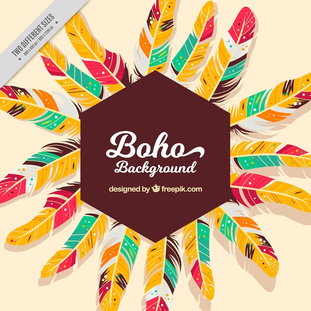 Fundo boho com belas penas coloridas