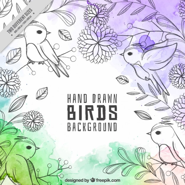 Fundo bonito mão desenhada aves com manchas de aquarela