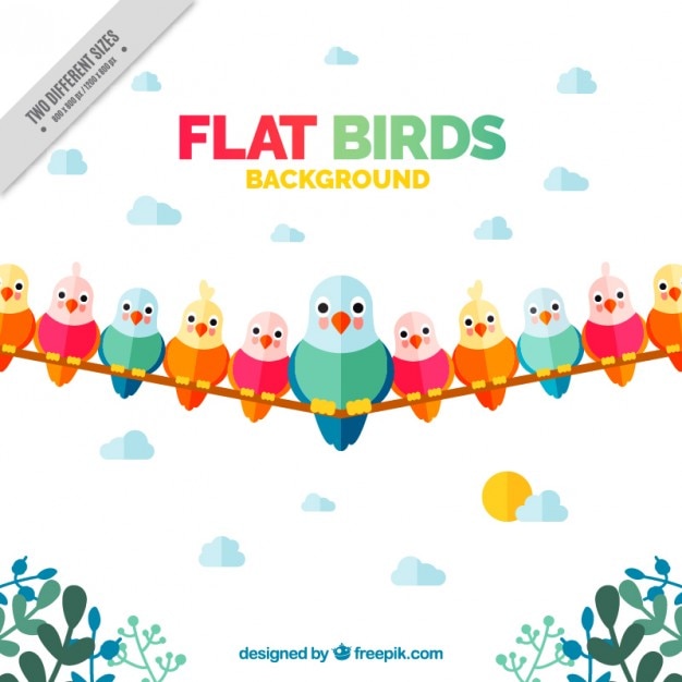 Vetor grátis fundo com pássaros agradáveis ​​coloridas no design plano