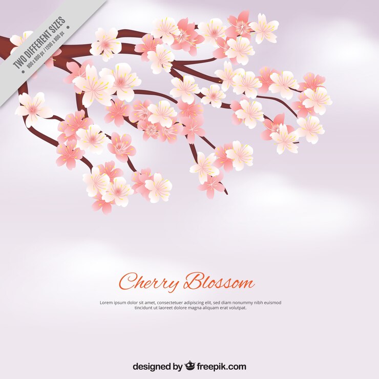 Vetor grátis fundo da flor de cerejeira com efeito borrado