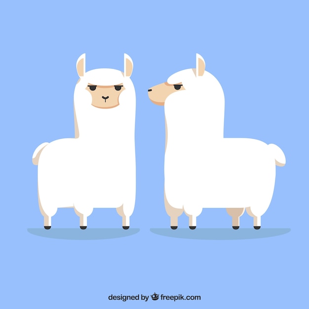 Fundo de alpacas bonito