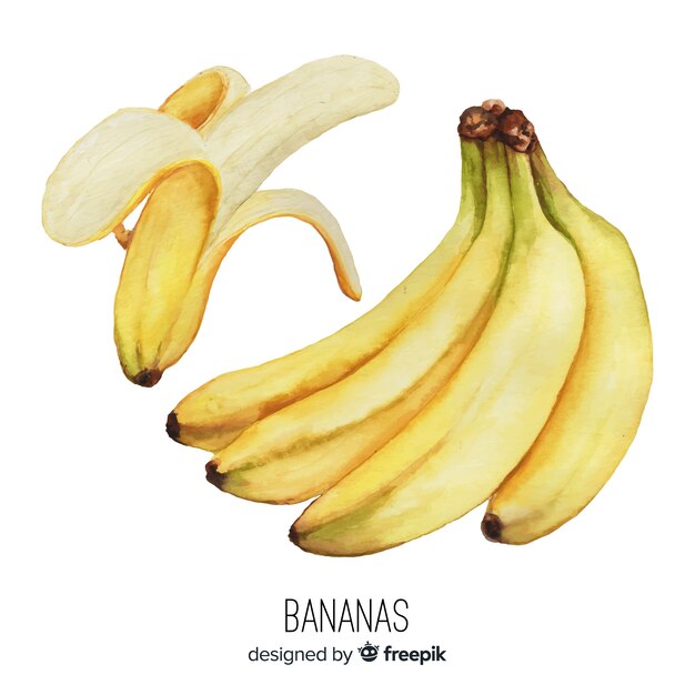 Fundo de banana realista em aquarela