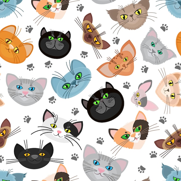 Fundo de cara de gato com patas de gato. o focinho dos gatos e as patas dos gatos. ilustração