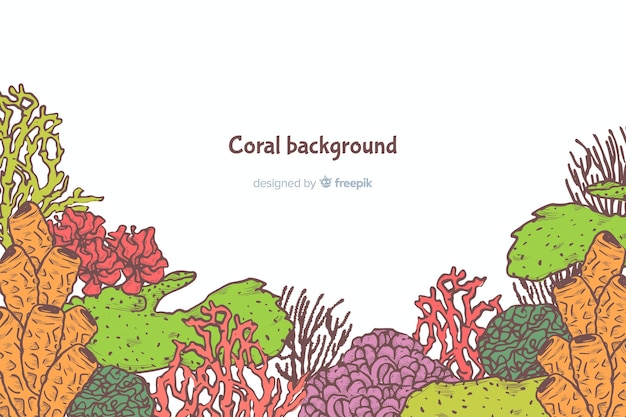 Fundo de coral desenhado de mão