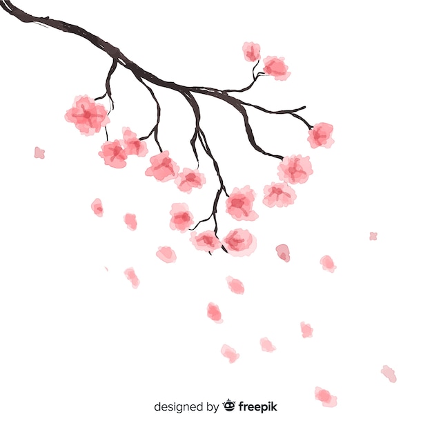 Vetor grátis fundo de flor de cerejeira desenhada de mão