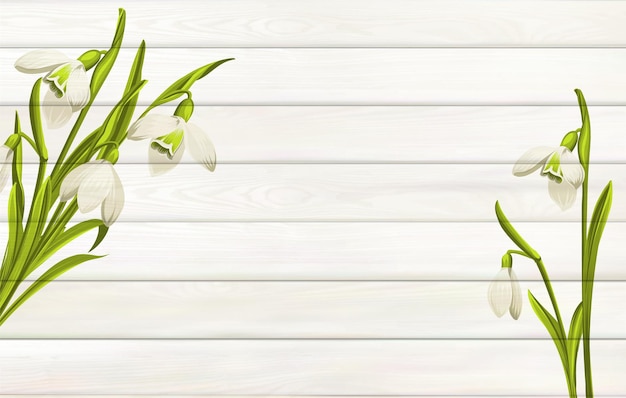 Vetor grátis fundo de flores da primavera para seu projeto fundo de madeira com espaço vazio