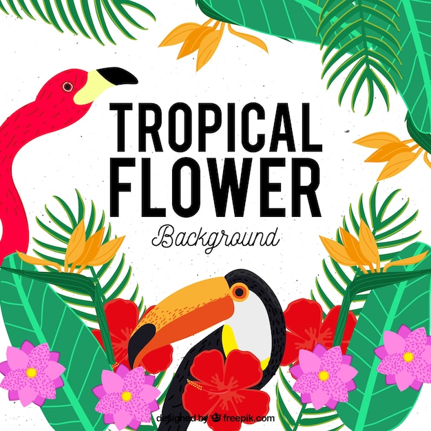 Fundo de flores tropicais com flamingo e toucan