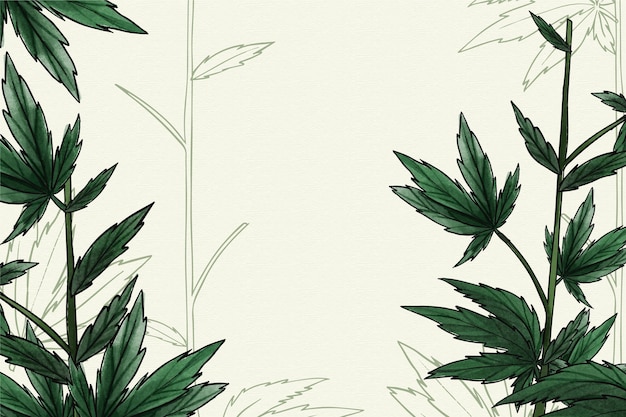 Fundo de folha de cannabis botânica