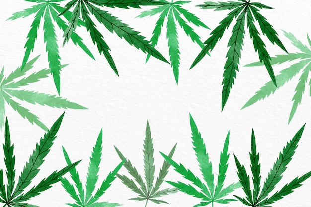 Fundo de folha de cannabis em aquarela