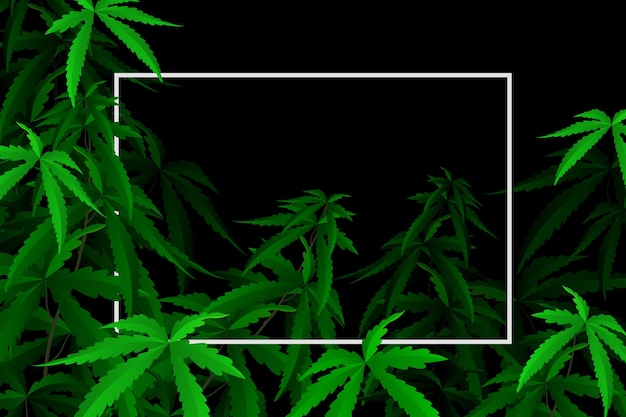 Fundo de folha de cannabis