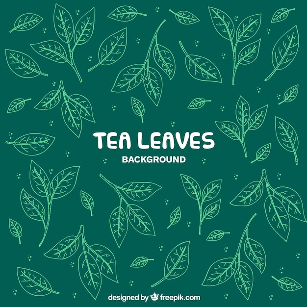 Vetor grátis fundo de folhas de chá com estilo desenhado de mão