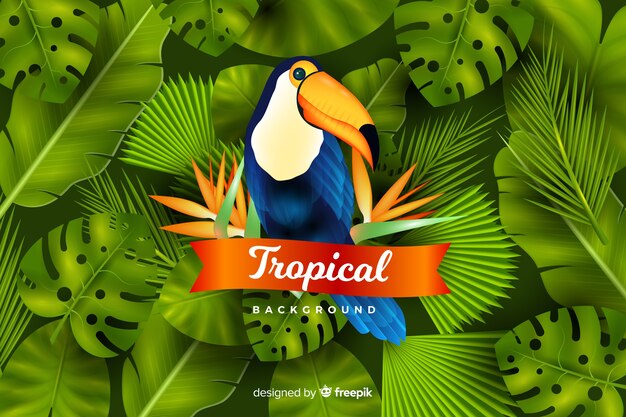 Fundo de folhas e pássaros tropical realista