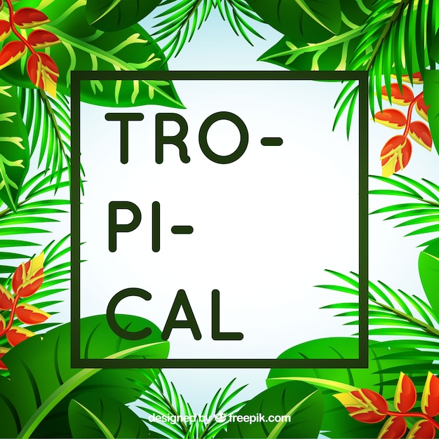 Vetor grátis fundo de folhas tropicais