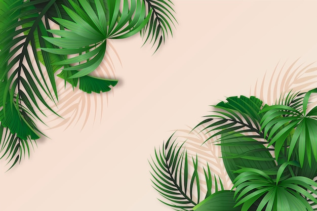 Fundo de folhas tropicais