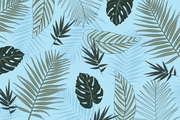 Fundo de folhas tropicais