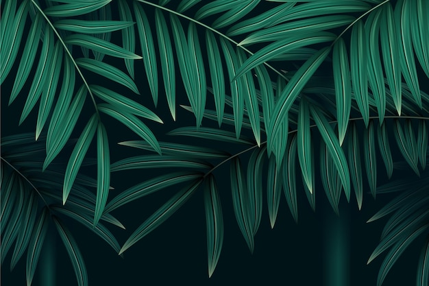 Fundo de folhas tropicais