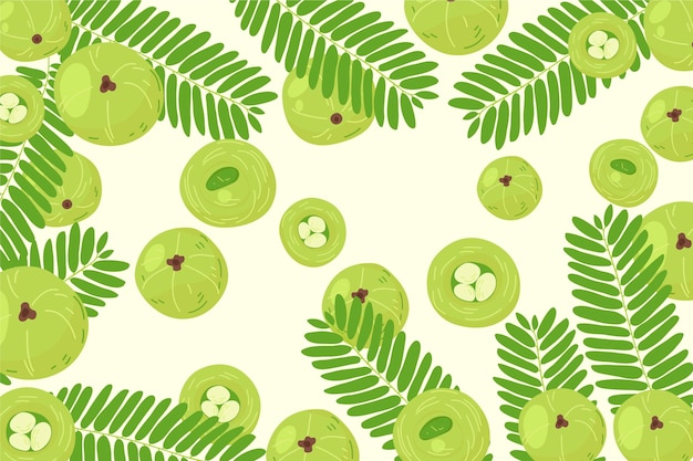 Fundo de frutas amla desenhado à mão ilustrado