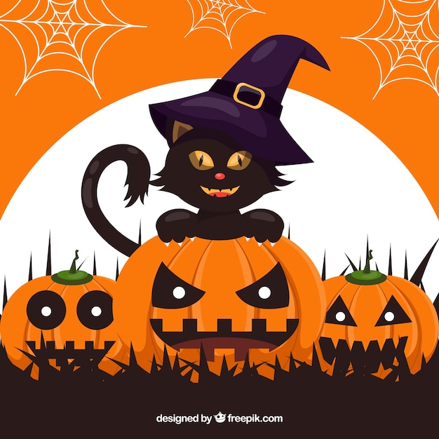 Fundo de gato preto com abóboras e chapéu de bruxa