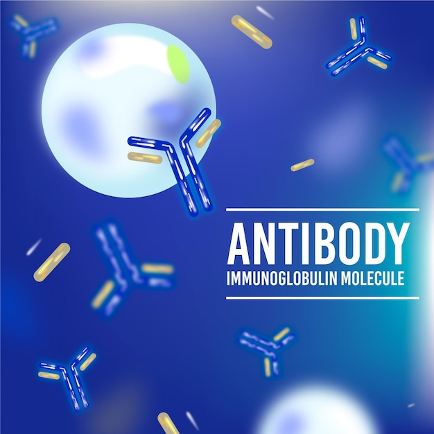 Vetor grátis fundo de molécula de imunoglobulina anticorpo realista