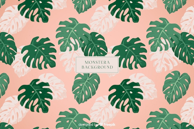 Fundo de monstera