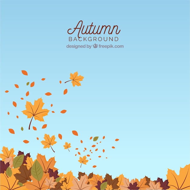 Fundo de Outono com folhas e céu