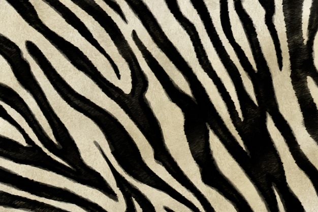 Vetor grátis fundo de padrão de impressão de zebra realista