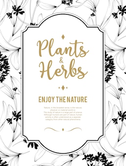 Fundo de plantas e ervas. elemento para cartão de design ou convite