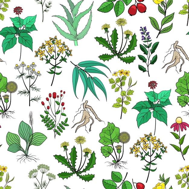 Vetor grátis fundo de plantas medicinais e ervas medicinais em branco. padrão com ervas verdes para medicina. ervas e flores para ilustração de drogas