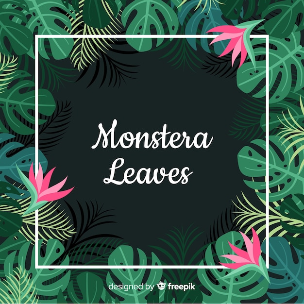 Fundo de quadro de monstera