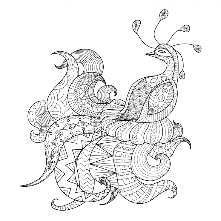 Vetor grátis fundo desenhado mão do pavão