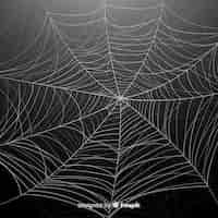 Vetor grátis fundo detalhado de teia de aranha de halloween