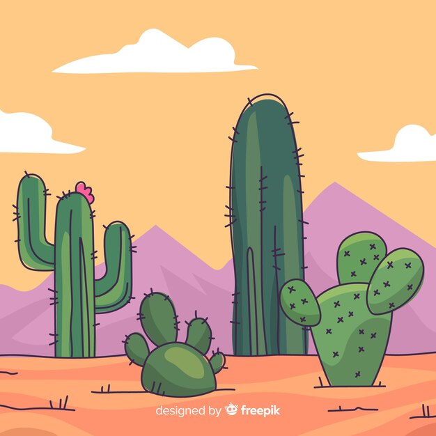 Fundo do cacto do deserto