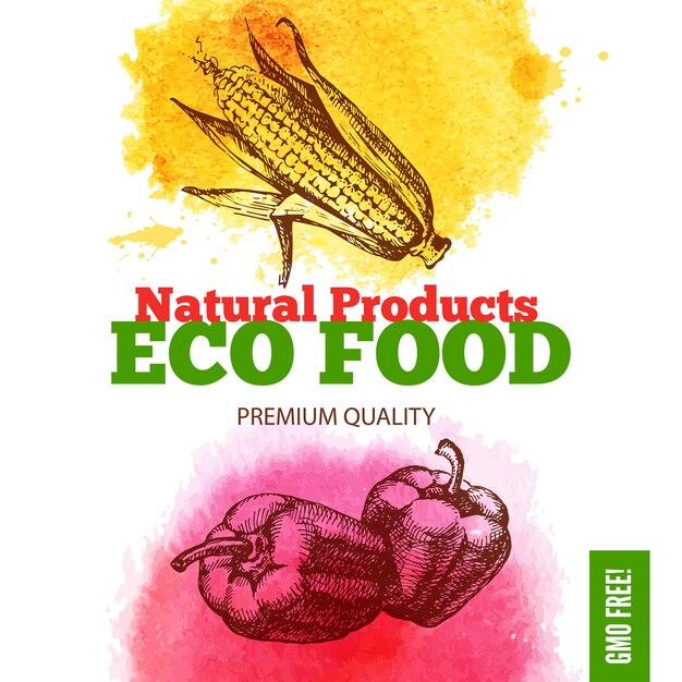 Fundo do menu de comida ecológica. aquarela e vegetais de esboço desenhado de mão. ilustração vetorial Vetor Premium