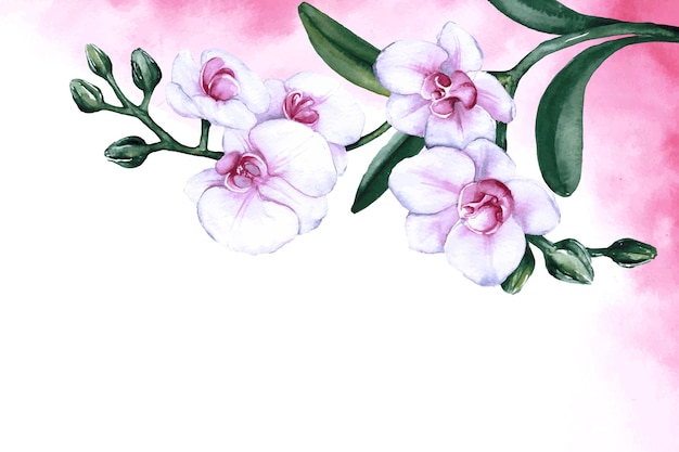 Fundo floral aquarela pintado à mão