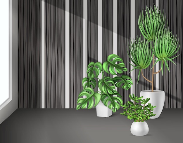 Fundo interno de plantas domésticas com ilustração vetorial realista de vegetação diferente