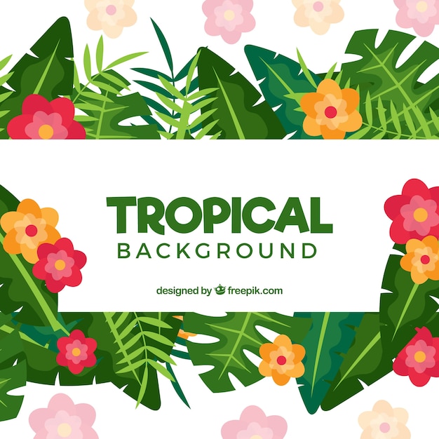 Fundo tropical colorido com design plano