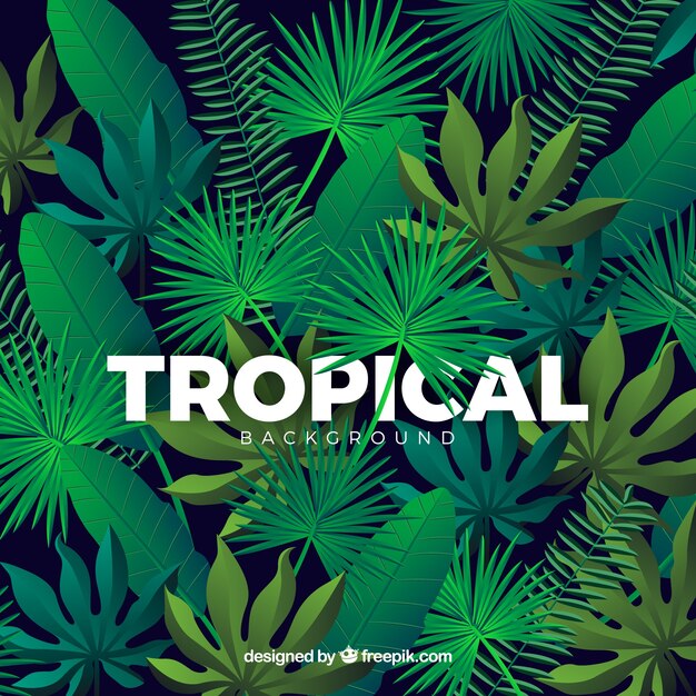 Fundo tropical colorido com design realista