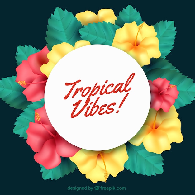 Fundo tropical colorido com design realista