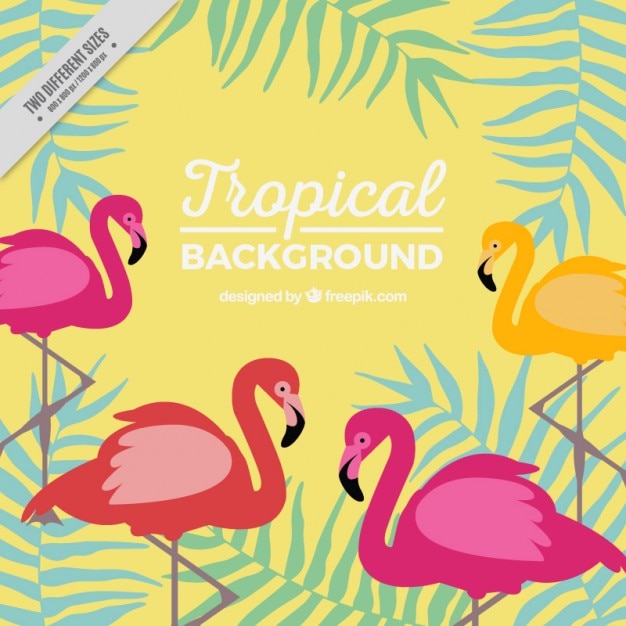 Vetor grátis fundo tropical com flamingos e folhas