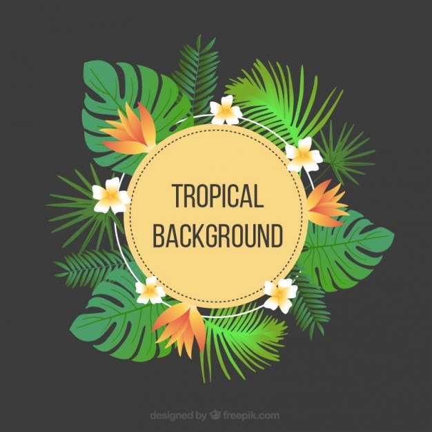 Fundo tropical com flores e folhas de palmeira