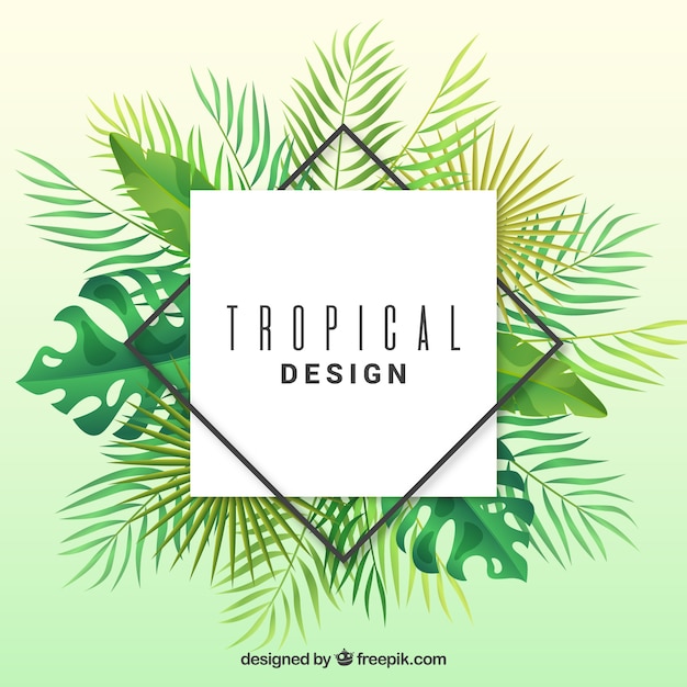 Fundo tropical com folhas