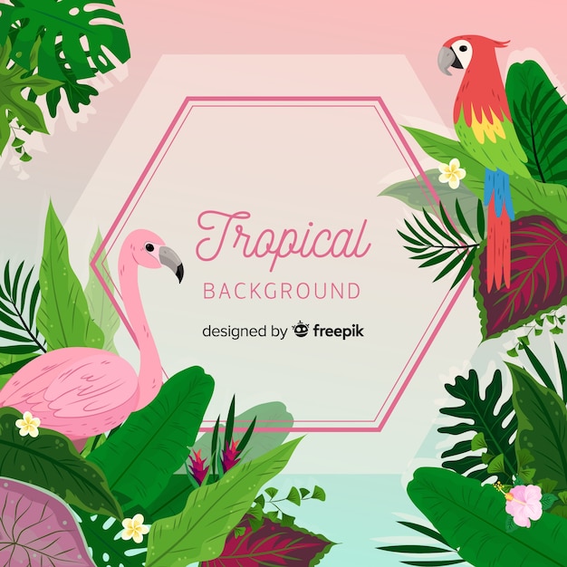 Fundo tropical com papagaio e flamingo