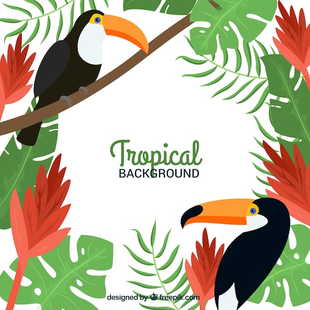 Fundo tropical com tucanos e plantas